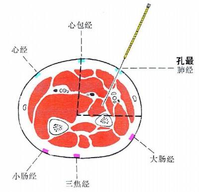 6p1.jpg