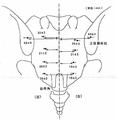 baliao-3.jpg