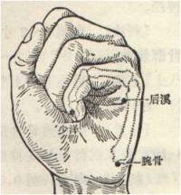 3ig-2.jpg