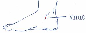 vi-d18.jpg