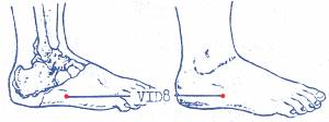 vi-d8.jpg