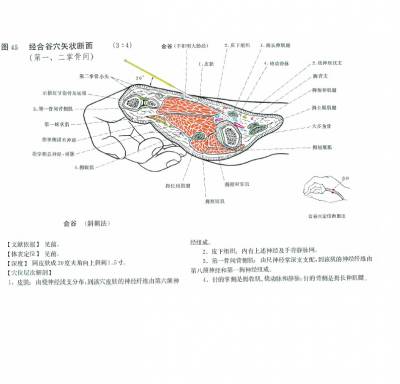 4gioblique-yan_zhenguo-166666.jpg 4gioblique-yan_zhenguo-166666.jpg