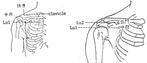 luhc_zhongfu.jpg luhc_zhongfu.jpg