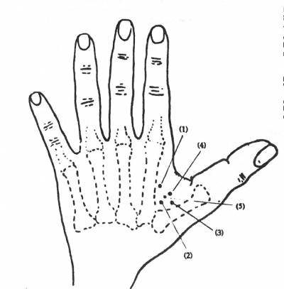 4gi-2.jpg 4gi-2.jpg
